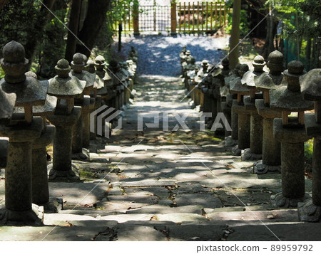對馬半松院石階排列的石燈籠 對馬半松院石階排列的石燈籠 89959792