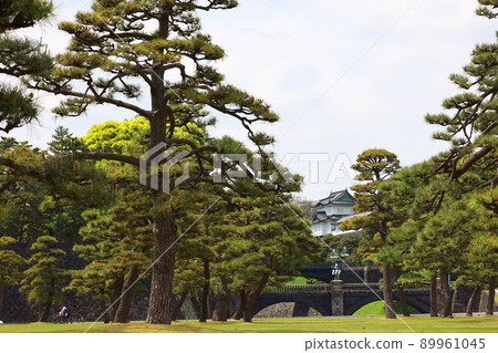 Nijubashi Bridge and Fushimi Turret (Chiyoda-ku, Tokyo) 89961045