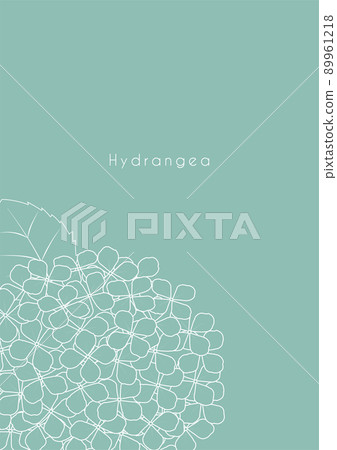 Illustration of hydrangea with simple design of line drawing Illustration of hydrangea with simple design of line drawing 89961218