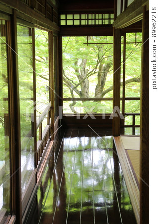 八瀨琉璃印藍楓 89962218