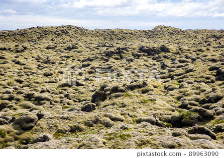 Soft volcanic moss in Iceland Soft volcanic moss in Iceland 89963090
