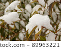 像棉花一樣堆積起來的雪 89963221