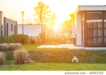 Modern country house with the large lawn and a wooden fence. In front of the house there is a covered terrace with a lounge zone. On the lawn there is a trees and flowerbeds. It is sunny. Outside. 89963760