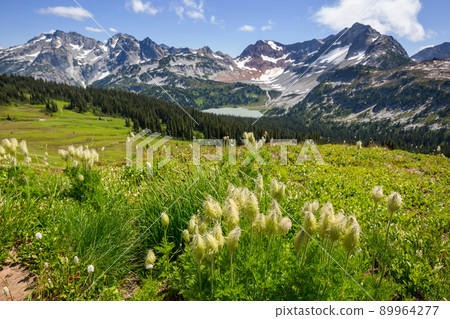 Mountains in Washington Mountains in Washington 89964277