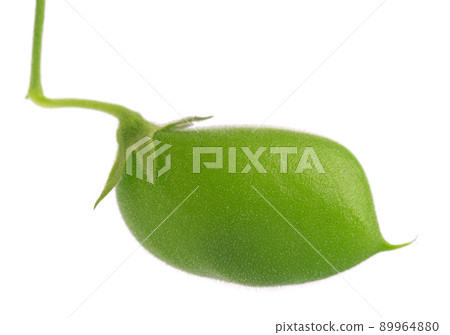 Green chickpea pod isolated on white background. Green chickpea pod isolated on white background. 89964880