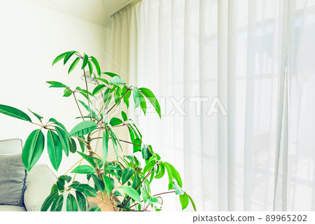 時尚的房子內部 時尚的房子內部 89965202