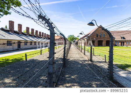 Electric fence in Auschwitz-Birkenau concentration camp. Holocaust memorial 89965231