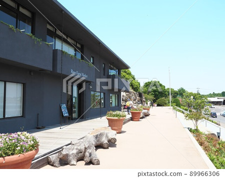 Ibaraki Flower Park Rose, Ishioka City, Ibaraki Prefecture 89966306