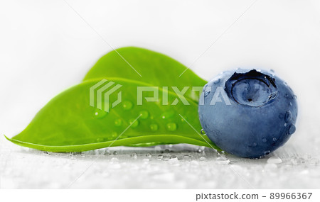 wild blueberry berry with green leaves and drops of water wild blueberry berry with green leaves and drops of water 89966367