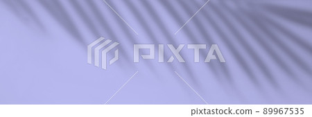 The shadow of a palm leaf against a white wall. 89967535