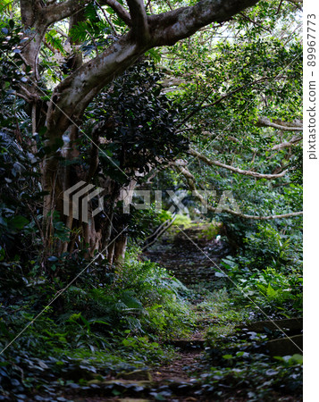 Pisada Road Pisada Road 89967773