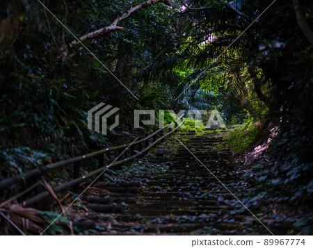 Pisada Road Pisada Road 89967774