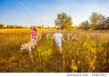 Brother and sister runs in a green field with their beautiful Alabai pet dog. 89967945