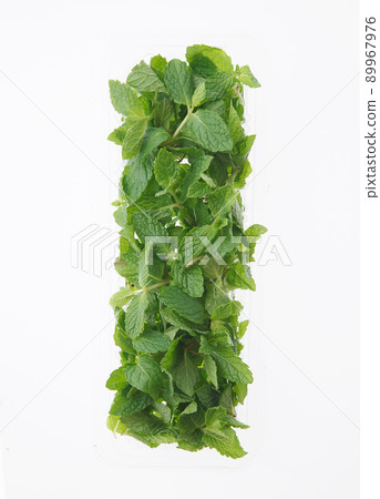 Spearmint 89967976