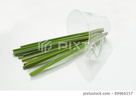 檸檬草白色背景 89968157
