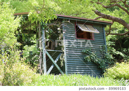 一片森林中的小屋,周圍環繞著新鮮綠葉中的樹葉 一片森林中的小屋,周圍環繞著新鮮綠葉中的樹葉 89969183
