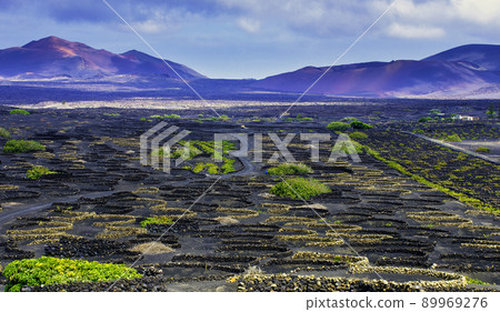 The Wine Valley of La Geria - Lanzarote, Spain The Wine Valley of La Geria - Lanzarote, Spain 89969276