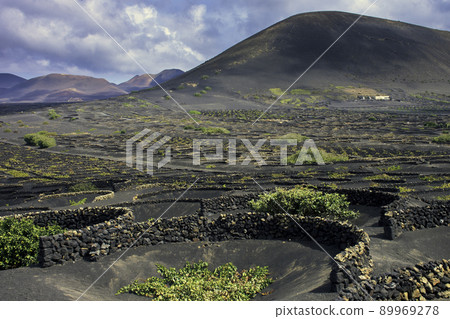The Wine Valley of La Geria - Lanzarote, Spain The Wine Valley of La Geria - Lanzarote, Spain 89969278