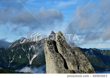 椿山海豚岩和野里山比賽 89969863