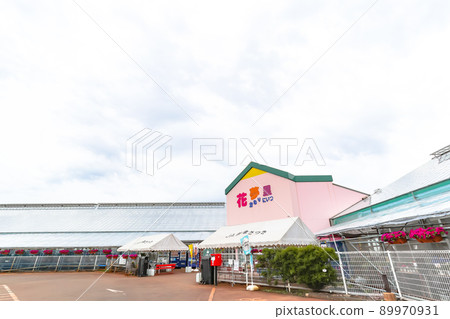 什麼時候到開花樹展覽現場銷售地花栗 什麼時候到開花樹展覽現場銷售地花栗 89970931