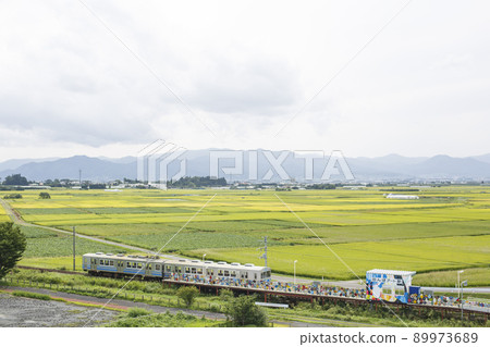 Summer rice paddy art station Summer rice paddy art station 89973689