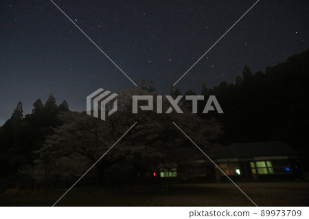 久保山的野櫻桃樹,夜晚 久保山的野櫻桃樹,夜晚 89973709