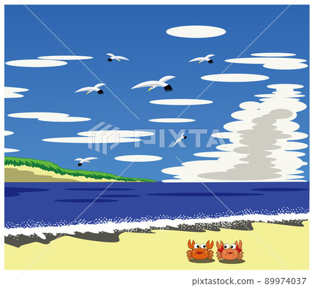 漫步在海灘的螃蟹夫婦 89974037