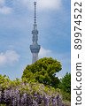 Sky Tree and Kameido Tenjin Wisteria 2 89974522