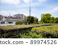 Sky Tree and Kameido Tenjin Wisteria 6 89974526