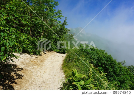 A mountain trail from Nakabo to Mt. Tsubakuro-Enzanso-around the battle hut A mountain trail from Nakabo to Mt. Tsubakuro-Enzanso-around the battle hut 89974840
