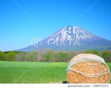 Superb view of Hokkaido Mt. Yotei from Niseko Takahashi Ranch 89975351