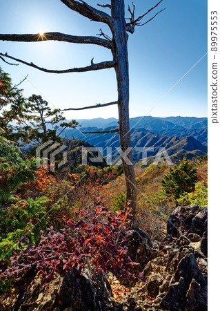 View from the summit of Mt. Ryokami in autumn colors 89975553