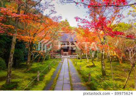 秋天的一休寺、一休寺正殿方法（京都府京田邊市） 89975624