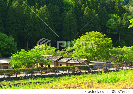 日本的100個精美城堡，一乘谷城 89975694