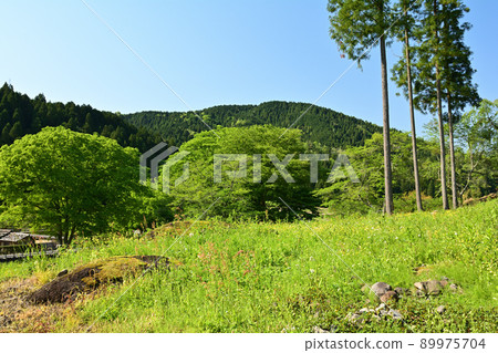 日本的100個精美城堡，一乘谷城 89975704