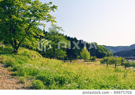 日本的100個精美城堡，一乘谷城 89975708