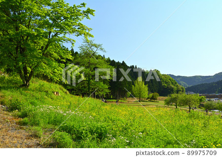 日本的100個精美城堡，一乘谷城 89975709