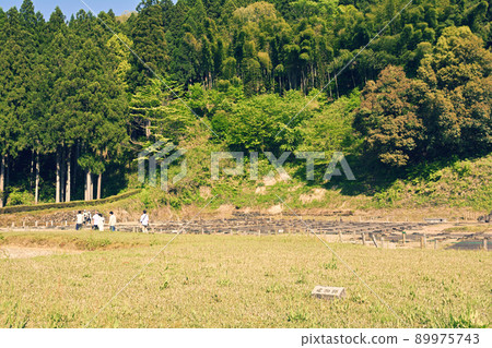 日本的100個精美城堡，一乘谷城 89975743