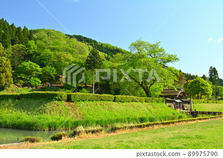 日本的100個精美城堡，一乘谷城 89975790