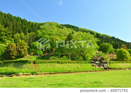 日本的100個精美城堡，一乘谷城 89975793