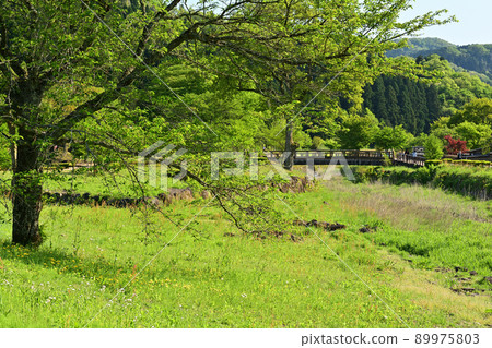日本的100個精美城堡，一乘谷城 89975803