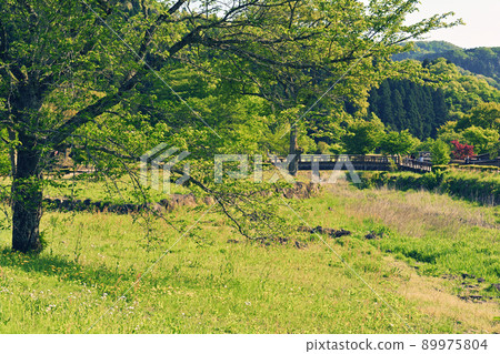 100 Fine Castles of Japan, Ichijodani Castle 89975804