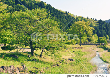 日本的100個精美城堡，一乘谷城 89975807