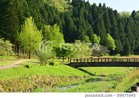 100 Fine Castles of Japan, Ichijodani Castle 100 Fine Castles of Japan, Ichijodani Castle 89975845