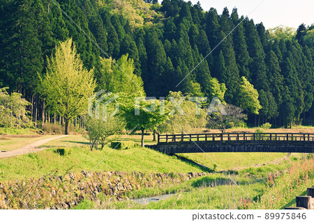 日本的100個精美城堡，一乘谷城 89975846