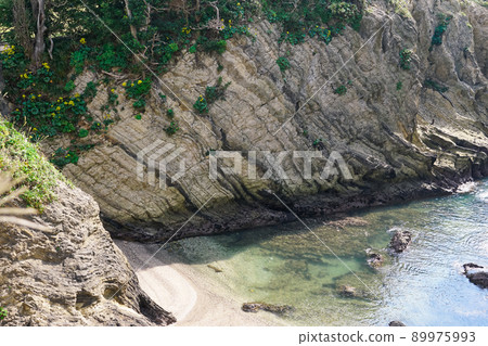 From the cliff road leading to Arasaki Park "Sunset Hill", the famous "Dondonbiki" (Arasaki Coast, Yokosuka City, Kanagawa Prefecture) 89975993