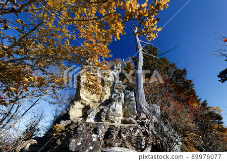 Mountain trail just below the summit of Mt. Ryokami in autumn colors 89976077