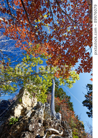 秋色的龍神山山頂下方的山路 89976079