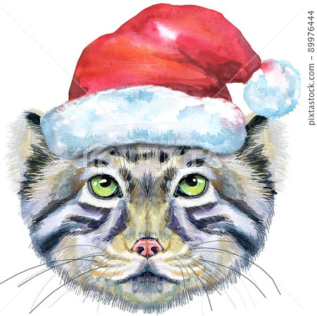 Watercolor portrait of a Manul Cat in Santa hat on white background Watercolor portrait of a Manul Cat in Santa hat on white background 89976444