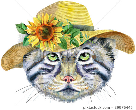 Watercolor portrait of a Manul Cat in summer hat on white background 89976445